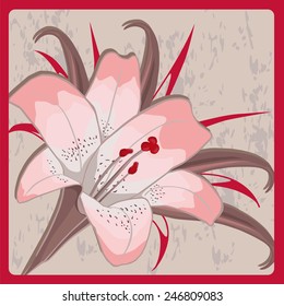 pink lily on a gray background in frame.