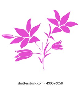 Pink Lily on white background. Vector illustration.