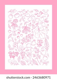 pink linear illustration of different Garden Fruits, leaves, tree branches on white