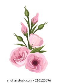 Pink lisianthus flowers. Vector illustration.