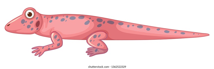 pink lizard white background illustration