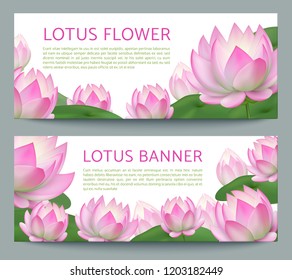 Pink lotus banners. Realistic pond water flower. Ayurveda treatment, healing garden vector banner set with lotuses. Illustration of flower blossom banner, leaf and flora lily
