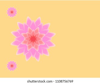 Pink lotus blossom 3D vector illustration on golden background