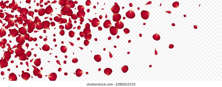 Pink Lotus Blur Vector Panoramic Transparent Background. Japan Blossom Pattern. Beautiful Sakura Flying Cover. Red Petal Beauty Design.