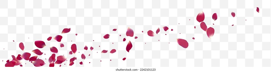 Fondo Panorámico Transparente Del Vector De Color Negro Rosa Lotus. El marco de cereza se está cayendo. Diseño japonés de flores moradas. Hermosa cubierta de verano floral.