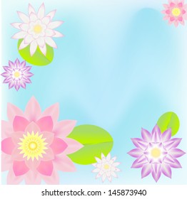 pink lotus  card background