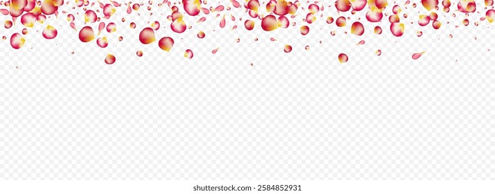 Pink Lotus Fall Vector Panoramic Transparent Background. Blur Floral Backdrop. Beautiful Blossom Tender Cover. Red Cherry Spring Poster.