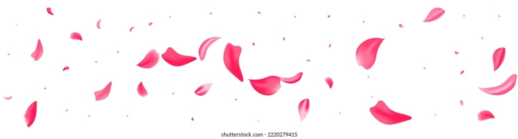 Pink Lotus Fall Vector White Panoramic Background. Fly Peach Texture. Beautiful Rose Summer Wallpaper. Delicate Floral Beauty Poster.