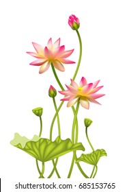 Pink lotus. Floral background. Border. India. SPA-center. Cosmetology. Buddhism. Water lily.