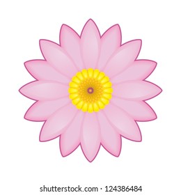 Pink lotus flower