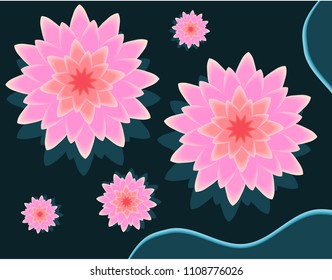 Pink lotus flower 3D vector illustration with reflection shadow on dark blue background