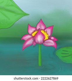 pink lotus flower blooming in lake water on forest background and blue sky