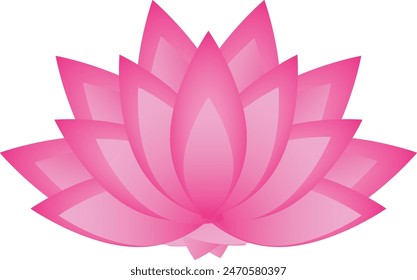 Pink lotus flower blossom flat vector