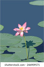 Pink lotus flower and green leaves in the pond. Realistic vector illustration.