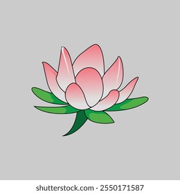 Pink Lotus Flower with Green Leaves Vector
