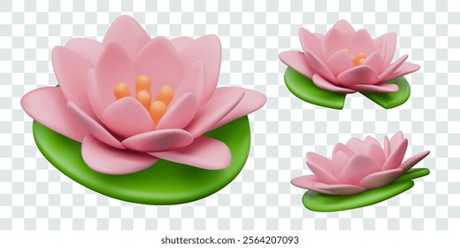 Pink lotus flower with green leaves. Realistic water lily in different positions