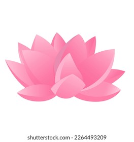 pink lotus flower illustration vector