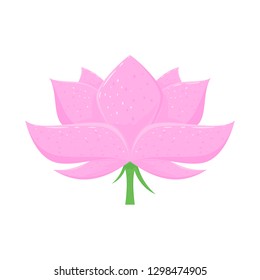 Pink lotus flower isolated on white background, illustration.