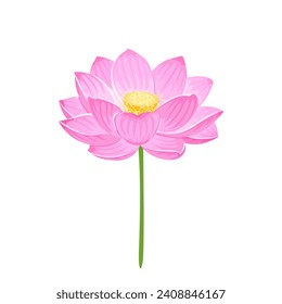 Flor rosa de loto aislada de fondo blanco. Ilustración plana de dibujos animados.