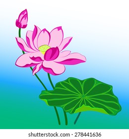 pink lotus flower with leaf and bud