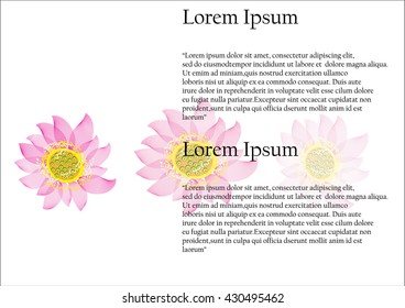 Pink lotus flower. lily flower. set of lotus flower isolated for object or background. lines art design .for spa .yoga business  .vector illustration