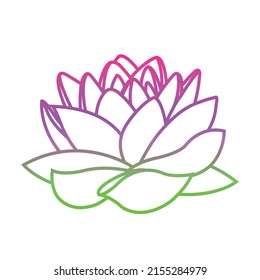 pink lotus flower logo isolated on white	