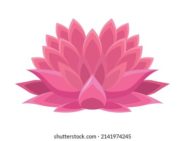 pink lotus flower nature icon