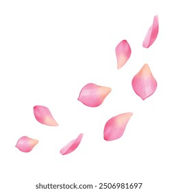 Pink lotus flower petals falling on white background