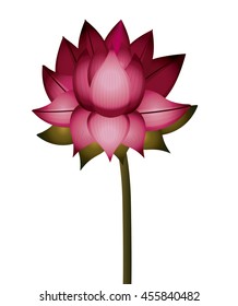 pink lotus flower with stem isolated icon design, vector illustration  graphic 
