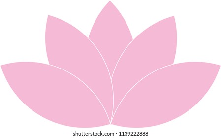 Pink Lotus Flower Vector