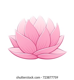 Pink lotus flower vector illustration. Beautiful realistic waterlily drawing.