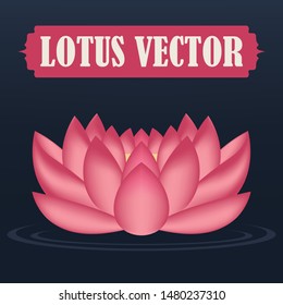 Pink Lotus Flower Vector. Illustrator Design