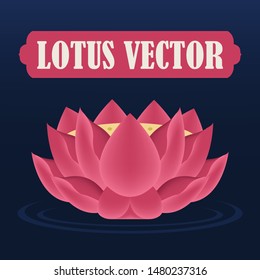 Pink Lotus Flower Vector. Illustrator Design