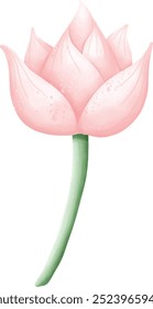 pink lotus flower, watercolor vector, Lotus and lotus leaf Vector.