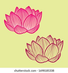 Pink lotus flowers. Vintage lotus flowers