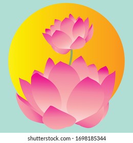 Pink lotus flowers. Vintage lotus flowers