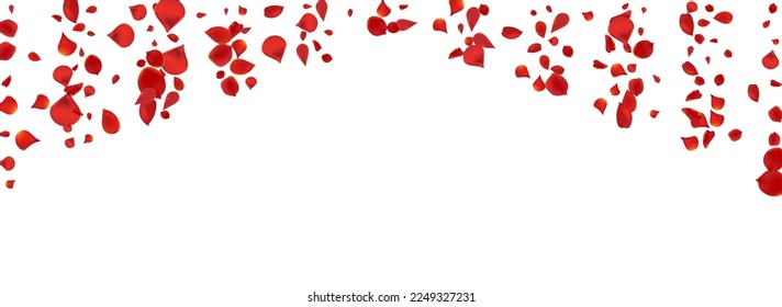 Pink Lotus Fly Vector Panoramic White Background. Summer Floral Pattern. Red Sakura Tender Template. Beautiful Peach Flying Illustration.