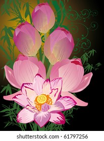 pink lotus illustration on dark background