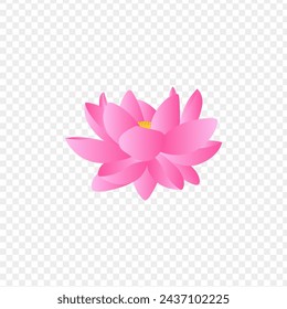 Pink lotus illustration on transparent background