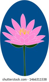Pink lotus, illustration, vector on white background.