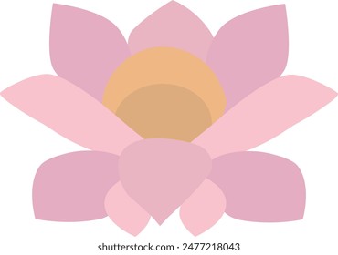 Pink lotus isolated on white background. Lotus flower illustration vector.