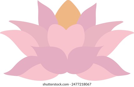 Pink lotus isolated on white background. Lotus flower illustration vector.