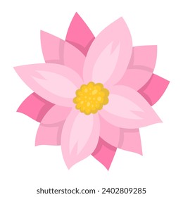 pink lotus isolated vector illustration