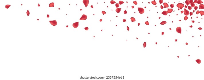 Pink Lotus Japan Vector Panoramic White Background. Summer Floral Banner. Beautiful Sakura Tender Frame. Delicate Flower Fly Wallpaper.