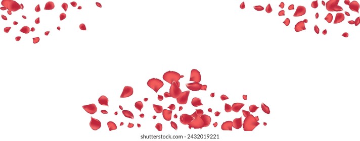 Pink Lotus Japanese Vector Panoramic White Background. Flying Peach Backdrop. Beautiful Petal Beauty Banner. Delicate Cherry Tender Illustration.