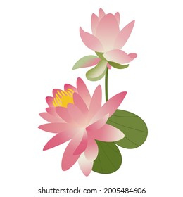 Pink lotus with leaf and bud. Water lily, a beautiful tropical flower. Hand-drawn vector. Asian culture, Japan, yoga, Buddhism. Delicate  petals, a symbol of purity. Spring and summer, wedding decor.