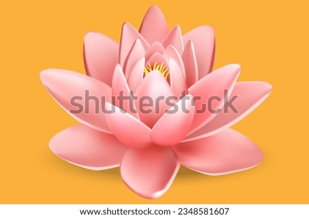 pink lotus lily on orange background