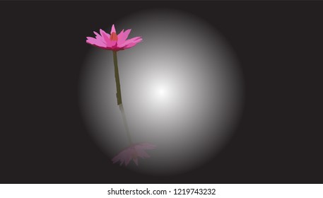 Pink lotus mirror reflection