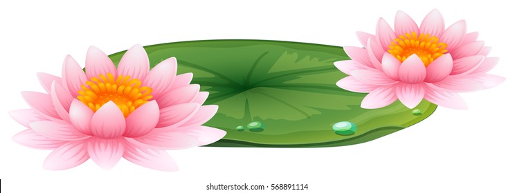 Pink lotus on green leaf illustration