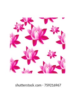 Pink lotus. Patern.White background.